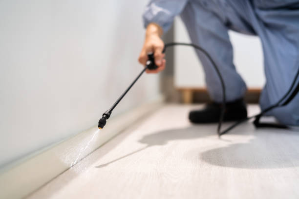 Professional exterminator conducting IPM assessment in Gore